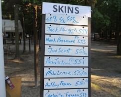 7-Skins-Scores